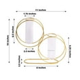 thumbnail image 3 of Efavormart 2 Pack 10" Gold Metal Geometric Test Tube Flower Vase, Nordic Style Double Ring Glass Floating Vase Centerpiece, 3 of 5