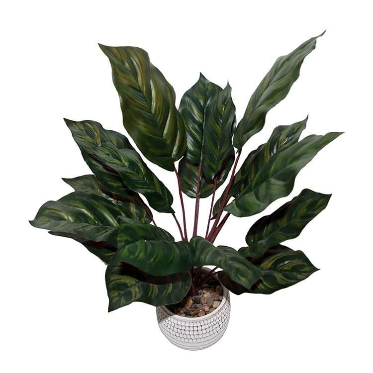 Lerman Decor's potted plant dark leaf