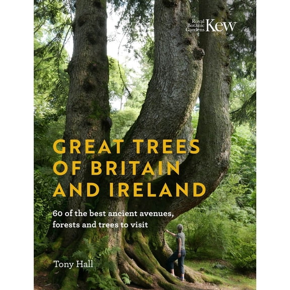 Great Trees of Britain and Ireland : 60 of the Best Ancient Avenues, Forests and Trees to Visit (Hardcover)