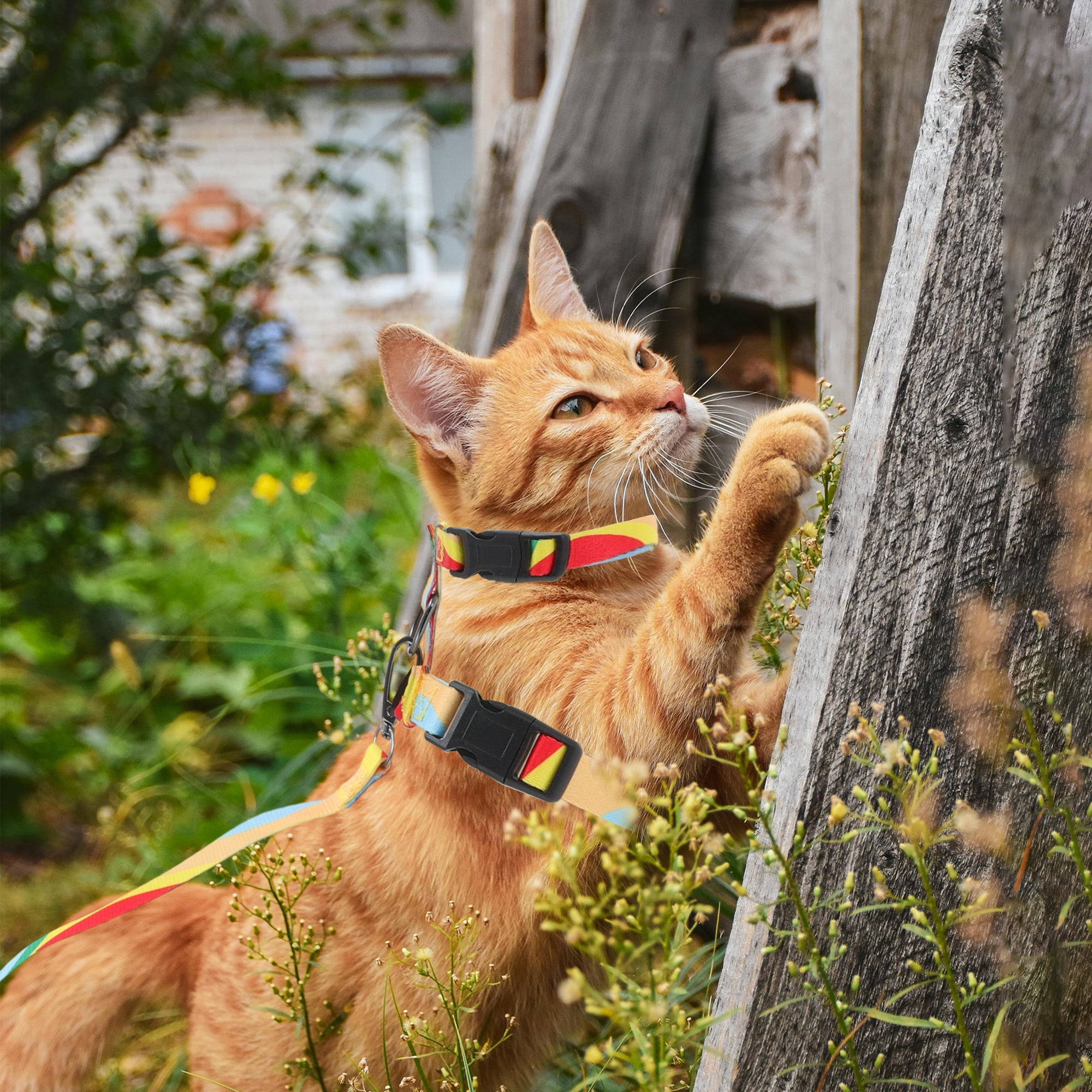 Unique Bargains Cat Harness and Leash Set Escape Proof for Cats Orange