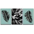 thumbnail image 3 of PixonSign Canvas Print Wall Art Set Palm Leaf & Succulent Display Floral Wilderness Photography Modern Art Rustic Relax/Calm Multicolor Black and White for Living Room, Bedroom, Office - 16"x24"x3, 3 of 5
