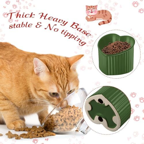 2 Pcs Ceramic Elevated Cat Bowls Tilted Elevated Raised Pet Bowls Anti Vomit Cat Dish for Indoor Stress Free Water Dish Feeder for Puppies, Heart Shaped (Red, Green)