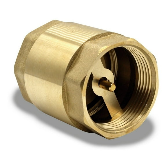 Válvula Check Anti-retorno Tuberías Hasta 3 Npt En Vertical