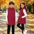 thumbnail image 5 of Sevevn Girls Boys Long Puffer Vest with Hood Sleeveless Quilted Padded Gilet Kids Zip Up Warm Outerwear Waistcoat, 5 of 9