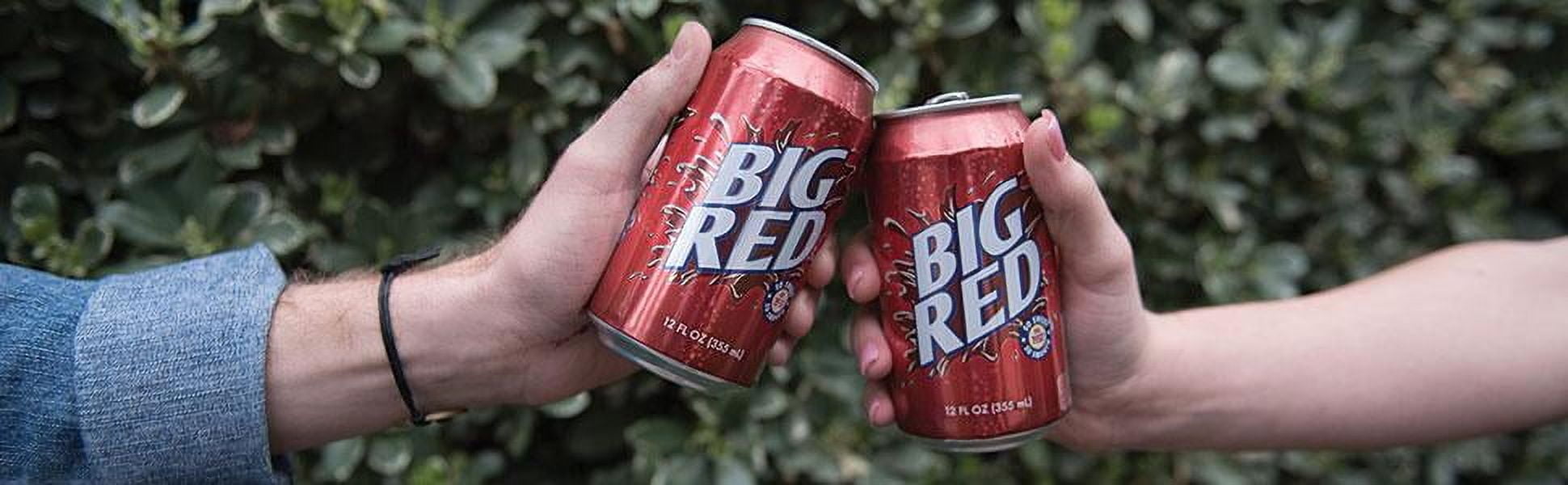 Big Red Soda Soft Drink, 12 Fl Oz (Pack of 24)