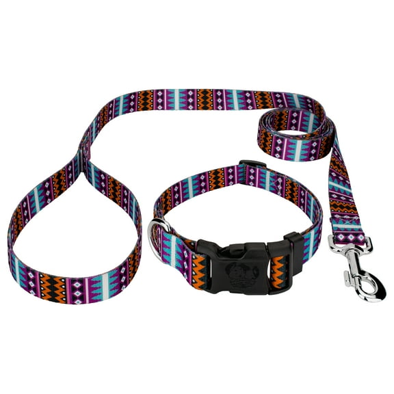 Country Brook Petz® Deluxe Santa Fe Dog Collar and Leash, Small