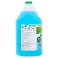 Mean Green House, Deck & Fence Pressure Washer Ultra Concentrate, 1 gallon