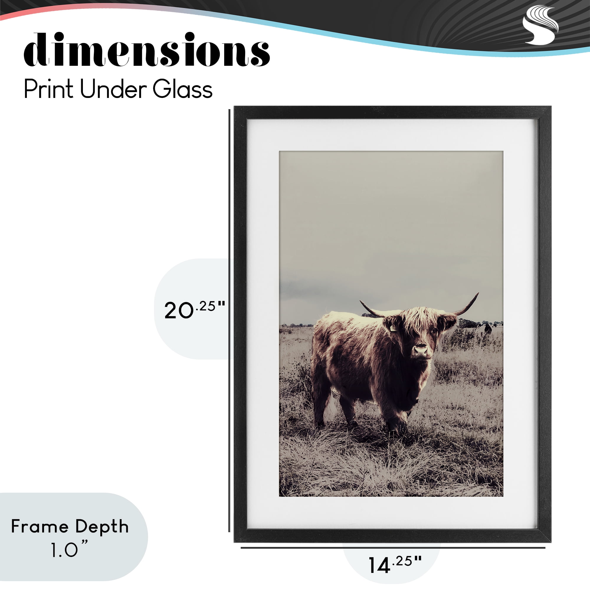 Stupell Industries Horned Cattle in Pasture Black Framed Print Under Glass, design by SD Graphics Studio