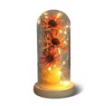 thumbnail image 1 of Flor de luz LED Botella decorativa Lámpara seca Preservada Mujeres Regalo Decoración Funciona con pilas Decoración romántica de la boda en casa Rosa Rojo Rosa Scienceny HA009077-03B, 1 of 6