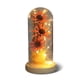 thumbnail image 1 of Flor de luz LED Botella decorativa Lámpara seca Preservada Mujeres Regalo Decoración Funciona con pilas Decoración romántica de la boda en casa Rosa Rojo Rosa Speravity HA009077-03B, 1 of 6