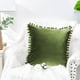 thumbnail image 5 of Dinheiro - Funda de almohada de terciopelo granulado suave de 2 piezas, adecuada para sofá, dormitorio, coche, 16 x 16 pulgadas, 5 of 5