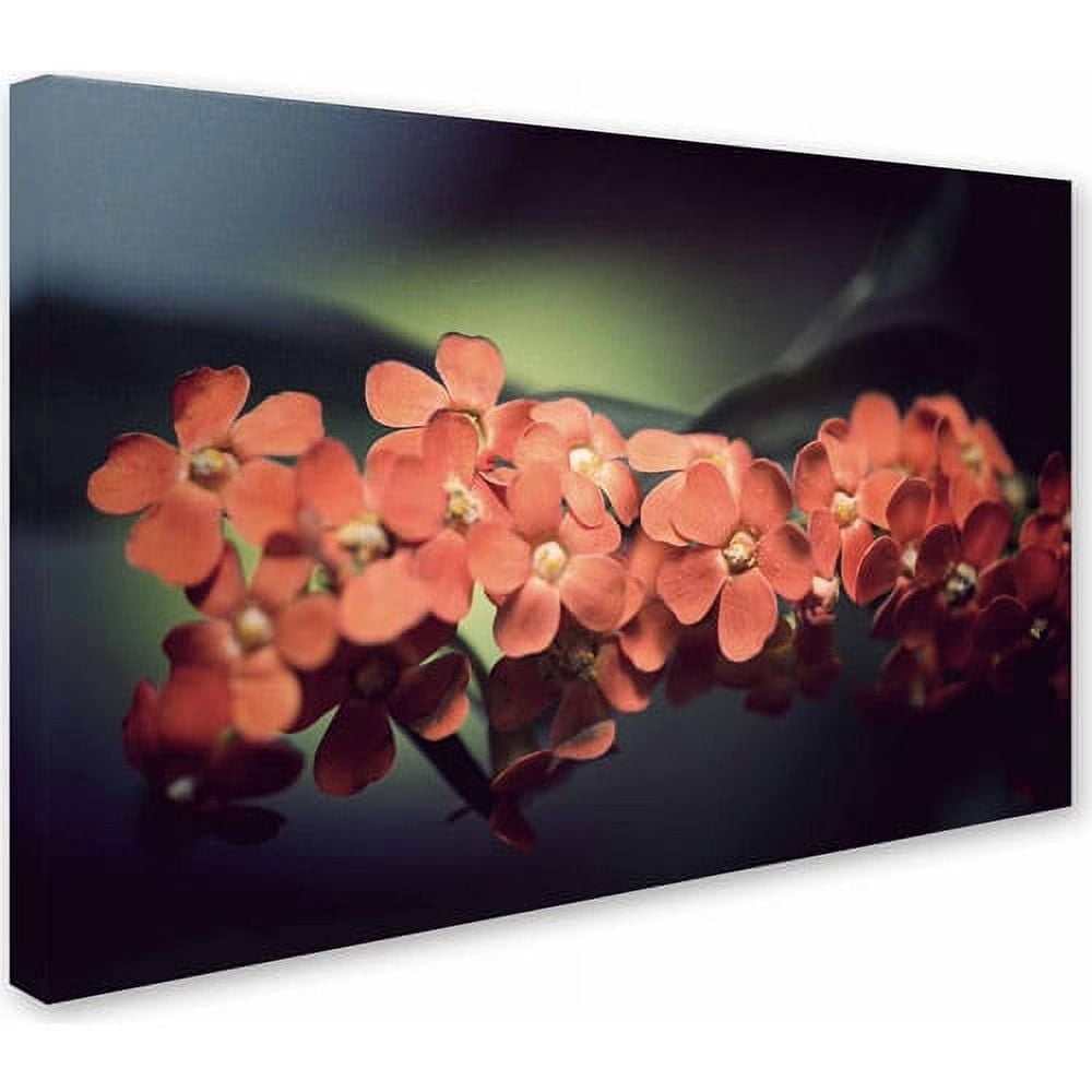 Trademark Fine Art "Flowers Waiting" Canvas Art by Philippe Sainte-Laudy
