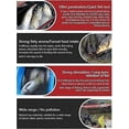 thumbnail image 2 of Red Worm Liquid Bait, Fish Scent Bait Fish Additive, Concentrated Fishing Lures Baits,Safe Effective Fish Bait Attractant Enhancer 100ml, 2 of 5