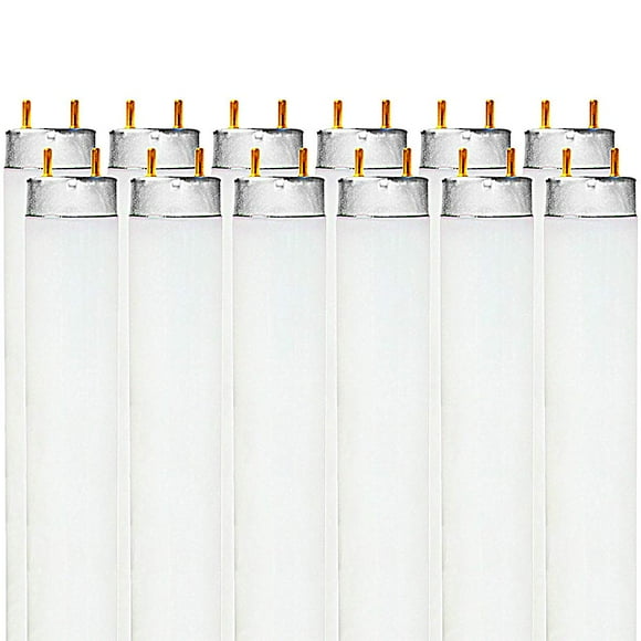Luxrite F32T8/841 32W 48 Inch T8 Fluorescent Tube Light Bulb, 4100K Cool White, 2800 Lumens, G13 Medium Bi-Pin Base, LR20732, 12 count (Pack of 1)