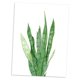 thumbnail image 1 of Acuare Hojas De Impresión De De Pintura Lona trifasciata-leaf M Gloria Pintura al óleo moderna de la lona, 1 of 7