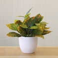 thumbnail image 3 of Bobasndm Artificial Potted Plants, Artificial Green Leaves with Natural Stone and Cement Pot, Fake Plants for Indoor and Room Decoration, 3 of 9