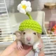 thumbnail image 4 of Mini gorro de punto para pájaro, bonito gorro de punto hecho a mano, divertido gorro para loro, accesorios para conejillo de indias y hámster, suministros para pájaros, gorro para mascota pequeña, 4 of 5