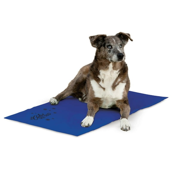 K&H Pet Products Coolin' Pet Pad Blue X-Large 27 X 38 Inches