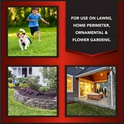 Eliminator Ant, Flea & Tick Killer Plus Lawn Insect Granules Pesticide, 10lb