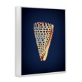 thumbnail image 3 of Stupell Industries Contemporary Cone Shell on Blue White Framed Giclee Art, 11 x 14, by Graffitee Studios, 3 of 8