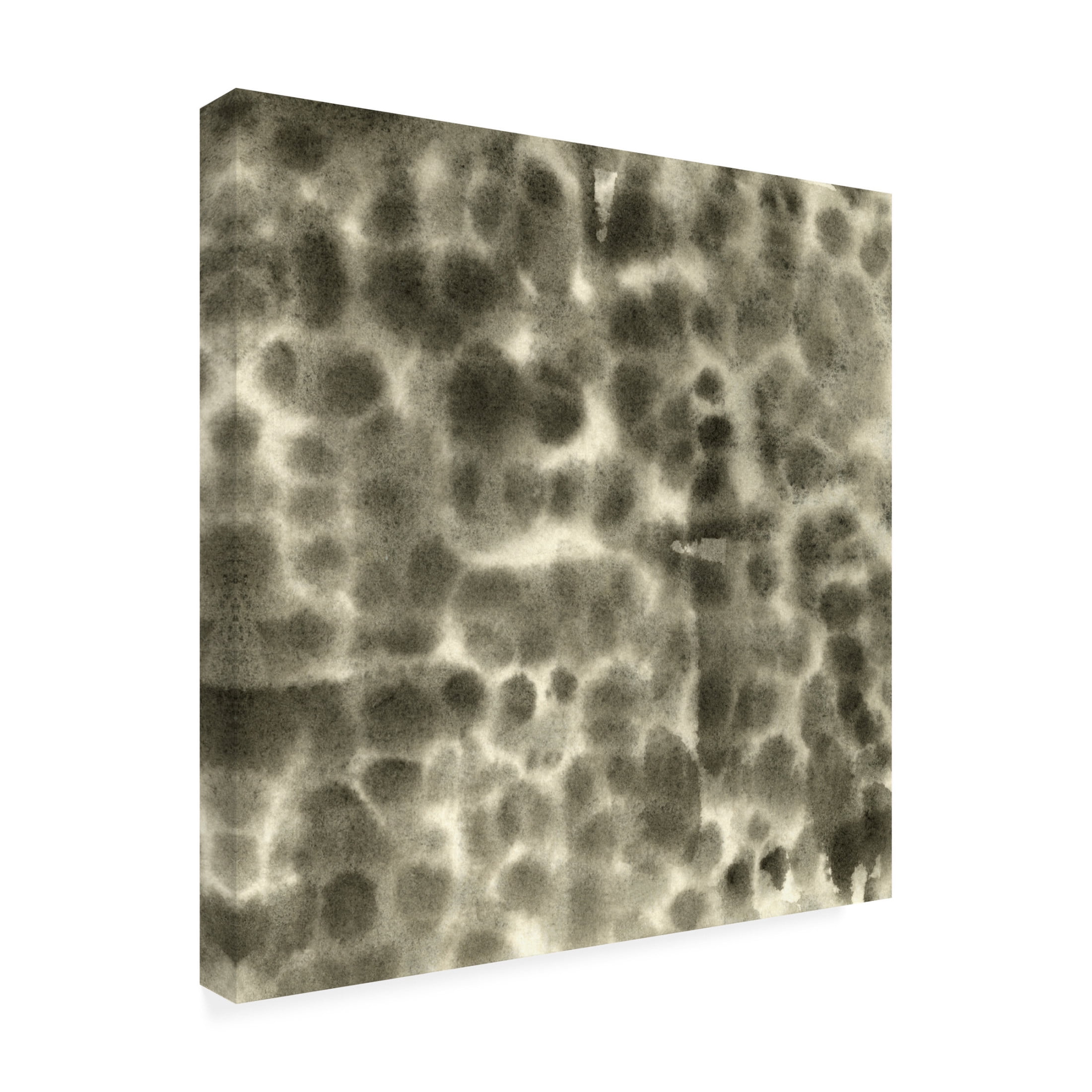 Canvas Wall Art - Emma Caroline 'Leopard Fade I' Wall Art for Living Room, Bedroom, or Office Décor by Trademark Fine Art - 14 x 14 Inches