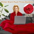 thumbnail image 5 of 10 Pcs Fleece Throw Blanket Bulk 50 x 60 Inches Cozy Fuzzy Flannel Plush Soft Blankets for Sofa, Couch Bed Warm Throws for Wedding Homeless Christmas Party Gift(Rich Color), 5 of 12