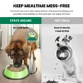 thumbnail image 5 of Iconic Pet 2-Pack Color Splash Stripe Non-Skid Pet Bowl, For Dog or Cat, Green, 64 Oz, 8 Cup, 5 of 12