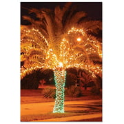 B3273AXSG Box Set of 12 Holiday Palms Christmas Card Featuring a Palm Tree Festively Lit for The Season; with Envelopes