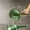 Green_Base#16818, variant on Plastic Water Dipper Ladle with Handle, Lightweight Scoop for Bathing, Shampoo Rinse, Bucket Watering and Cleaning