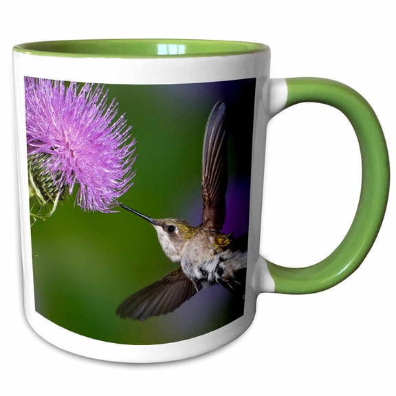 3drose, Ruby-throated Hummingbird in Flight at Thistle Flower - Na02 Aje0351 - Adam Jones, 15oz Two-tone Green Mug