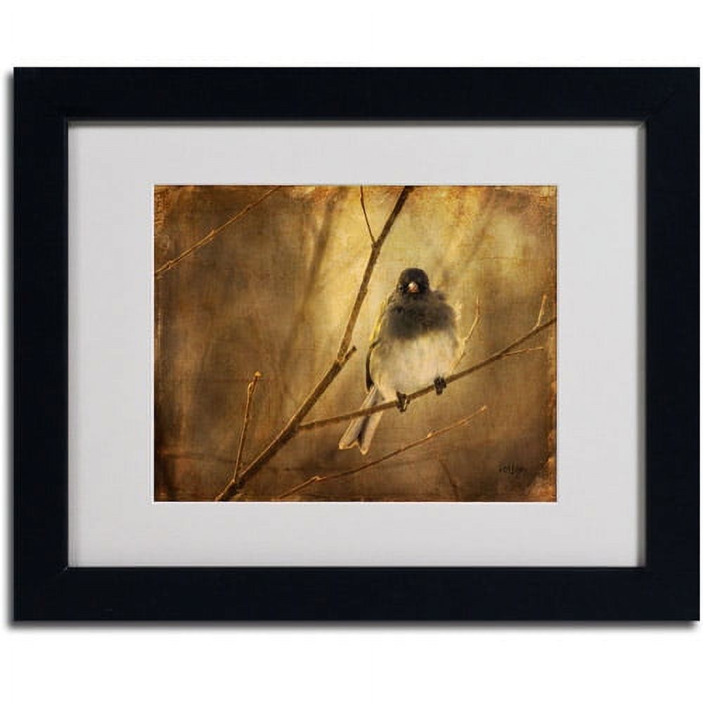 Trademark Fine Art 'Backlit Birdie Being Buffeted' Matted Framed Art by Lois Bryan