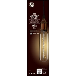 GE Energy-Efficient Crystal Clear 43-Watt, Light Bulb 2 ea (Pack of 3 ...