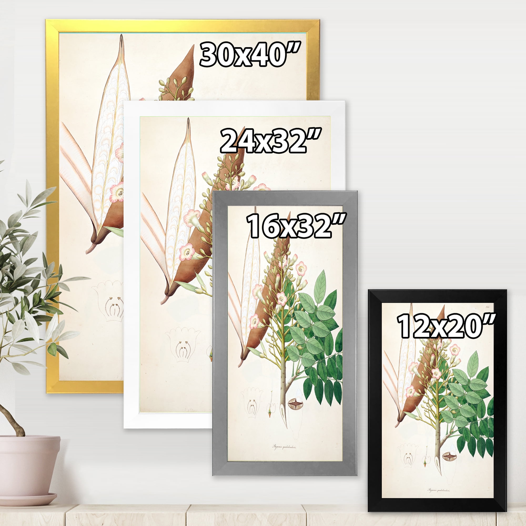 Designart 'Ancient Botanicals IX' Farmhouse Framed Art Print