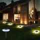 thumbnail image 1 of Luces solares para exteriores, luces de suelo, fuente de luz LED para exteriores, luces exteriores con cambio automático de inducción, luces de jardín para caminos, jardines, patios, césped, luz solar, 1 of 7