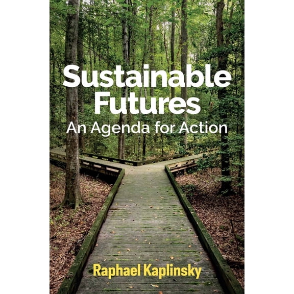 Sustainable Futures: An Agenda for Action (Paperback)