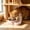 Pink#4, variant on yuHome Pet Bowl Two In One Drinking and Feeding Set | 15 Degree Inclined Design | 304 Stainless Steel | Plastic Base | 27X20X8Cm Non-Slip Cat and Dog Bowl | Suitable for Pets Eating and Drinking