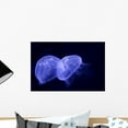 thumbnail image 1 of Underwater Image Jellyfishes Wall Mural Decal Sticker, Wallmonkeys Peel & Stick Vinyl Graphic (18 in W x 12 in H), 1 of 4