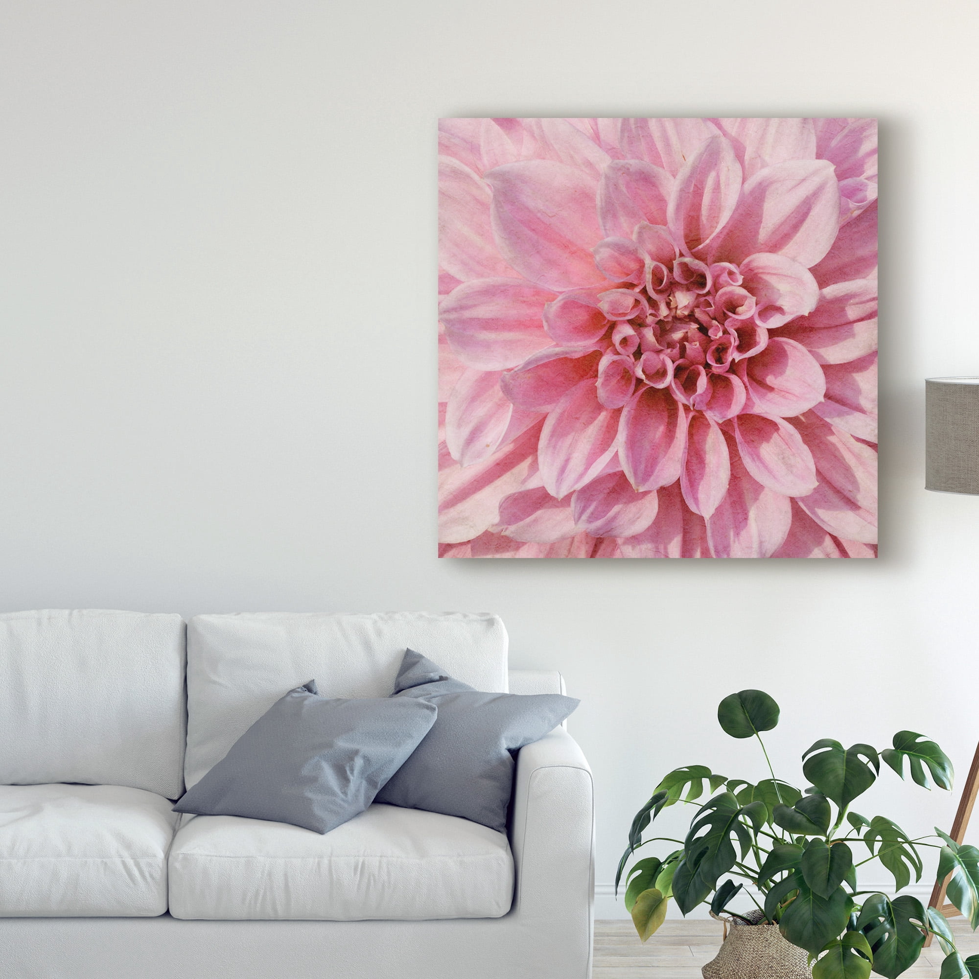 Trademark Fine Art 'Wall Flower VII' Canvas Art by Alonzo Saunders