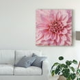 thumbnail image 3 of Trademark Fine Art 'Wall Flower VII' Canvas Art by Alonzo Saunders, 3 of 4