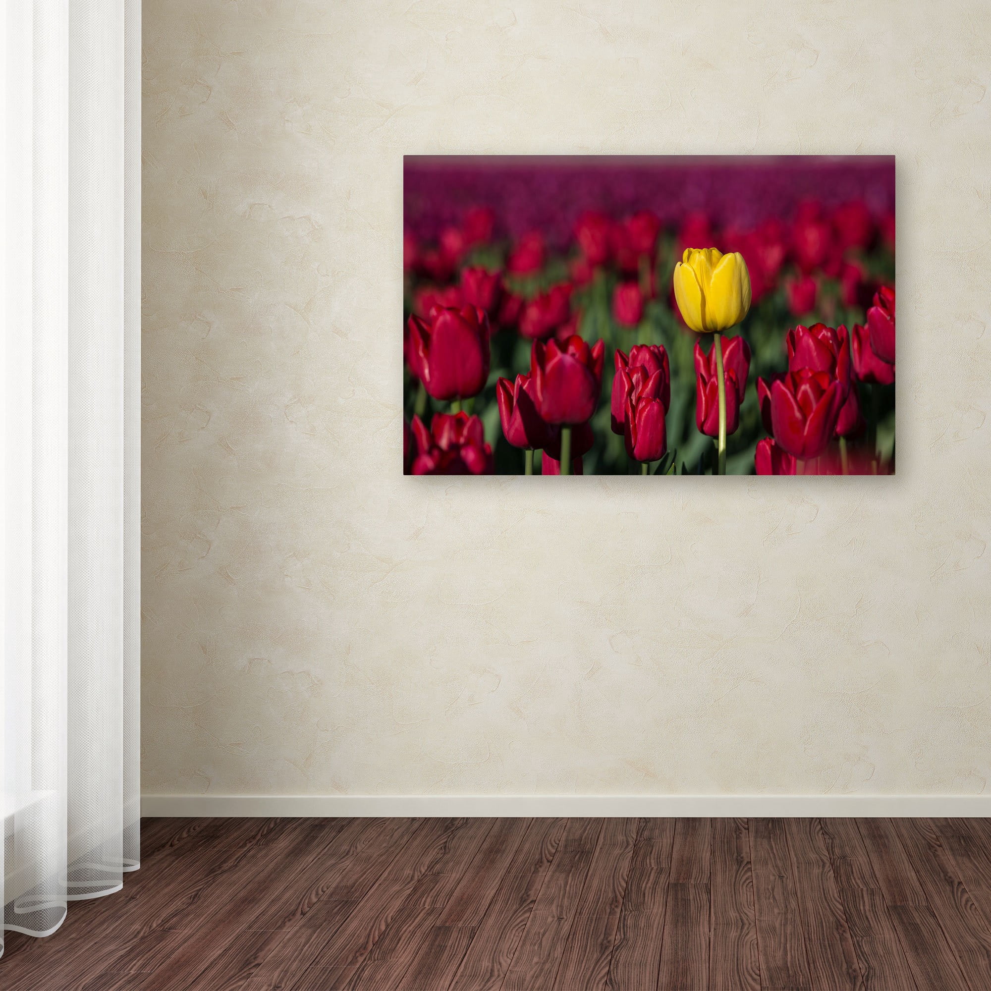 Trademark Fine Art "Yellow Tulip" Canvas Art by Pierre Leclerc
