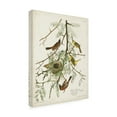 thumbnail image 2 of John James Audubon 'Orchard Oriole' Canvas Art, 2 of 3