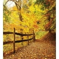 thumbnail image 3 of Ambesonne Landscape Duvet Cover Sets, Fall Trees Leaf Road, 2-Queen, Ginger Yellow Marigold, 3 of 7
