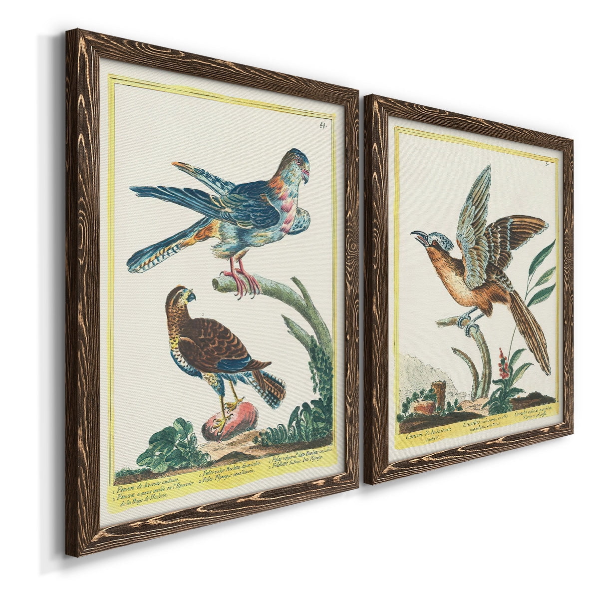 Pastel Birds III - Premium Framed Canvas 2 Piece Set - Ready to Hang
