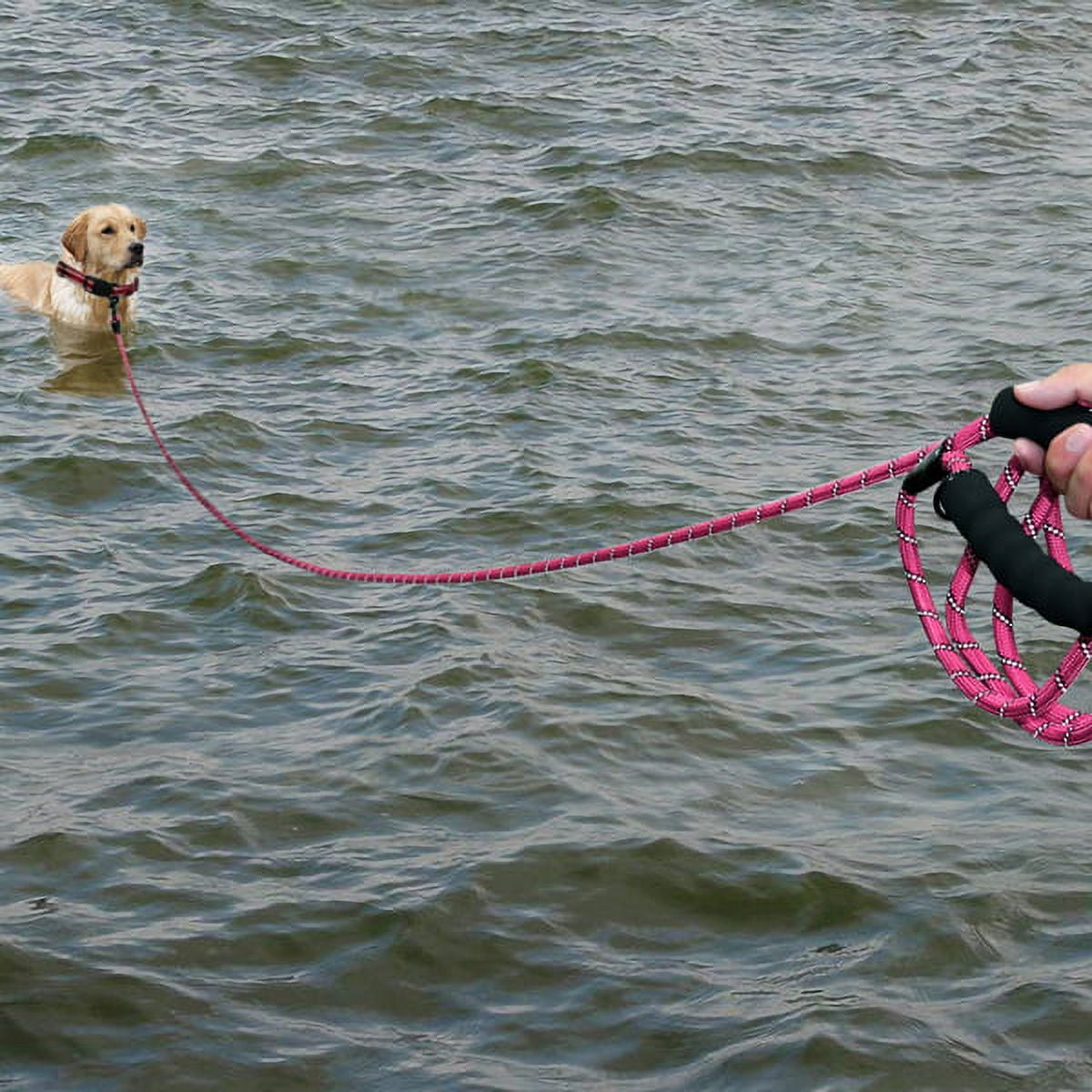 Plutus Pet Long Rope Dog Leash, Heavy Duty, Reflective, With Comfortable Padded Handle, 15FT 20FT 30FT Dog Training Leash for Small Medium Large Dogs (50FT, Pink)