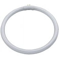 thumbnail image 1 of Daylight 28W Circulaire, 1 of 1