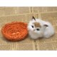 thumbnail image 4 of Juegos de Realistas Gato con Marco Verdadero Piel Animal Pasatiempos Juegos para y Jóvenes Hugo Gato realista, 4 of 9