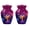 Keepsake Pack of 2, variant on Tiger Urn, Urn for Ashes Adult Male, Urn for Ashes Adult Male & Female, Cremation companion Urns, funeral Urns for Ashes, mini Urn for Ashes for Women(Size - 10inch 1Pcs, 3inch 2Pcs)