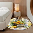 thumbnail image 3 of LEMON Round Living Room Rugs 6 ft, Summer Watercolor Fruit Basket Blue Yellow Plaids Washable Area Rug with Non-Slip Sturdy Edge Binding Round Carpet for Kitchen Office Bedroom, 3 of 9