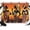 Orange Brown, variant on 7x5ft Photo Backdrop, African Women Soft Polyester Backdrop Curtains Photography Backdrops, Black Boho Tradition Ethnic Southwest Brushed Background for Photoshoots Studio Video Portrait Parties