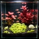 thumbnail image 5 of Piedras fluorescentes para acuario que brillan en la oscuridad: decoración de plástico fluorescente para peceras, conchas y piedras luminosas para paisajismo acuático nocturno, decoraciones, 5 of 6
